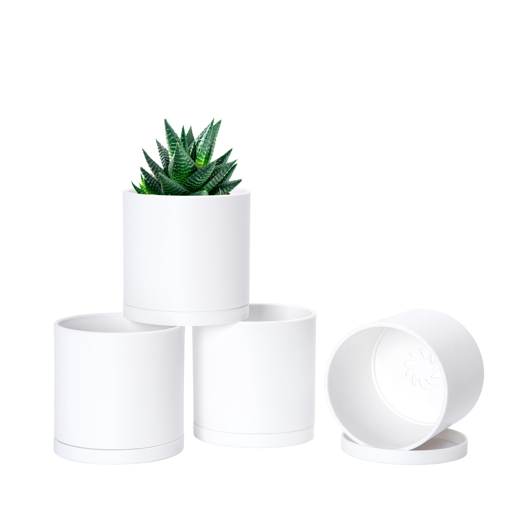 4 inch plastic pots for plants D'vine Dev