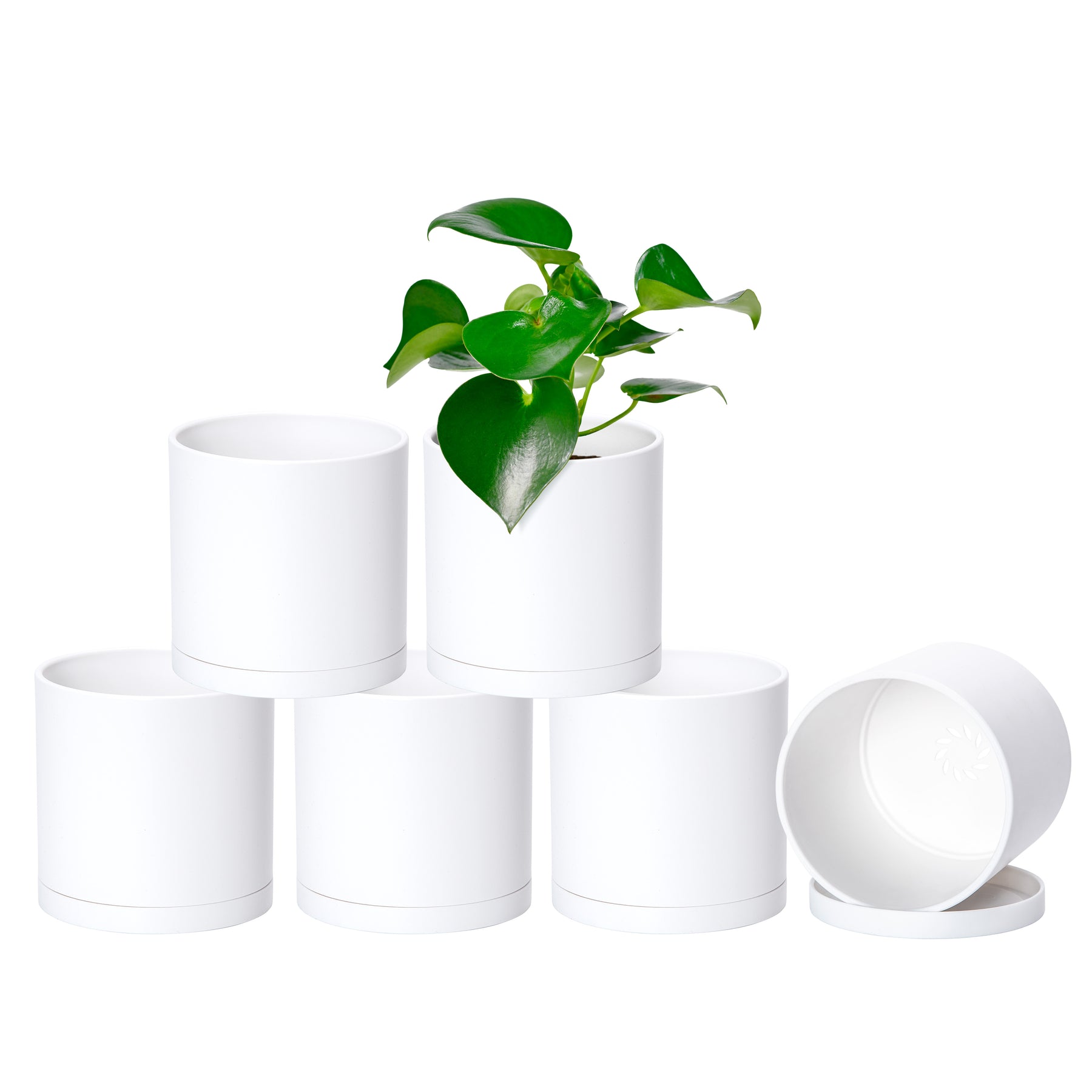 5 inch plastic plant pots D'vine Dev