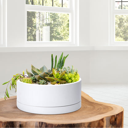 Uncompromising Plastic Shallow Succulent Planter