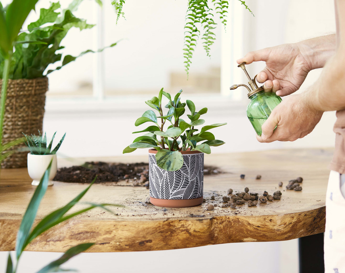 Leaves Pattern Design Planter Pots with Saucer