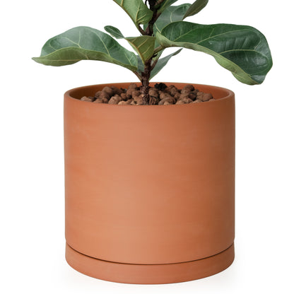 Cylinder Terracotta Plant Pot with Saucer