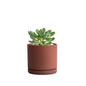 Rust Terracotta Plant Pot with Saucer 4 Inch / 6 Inch