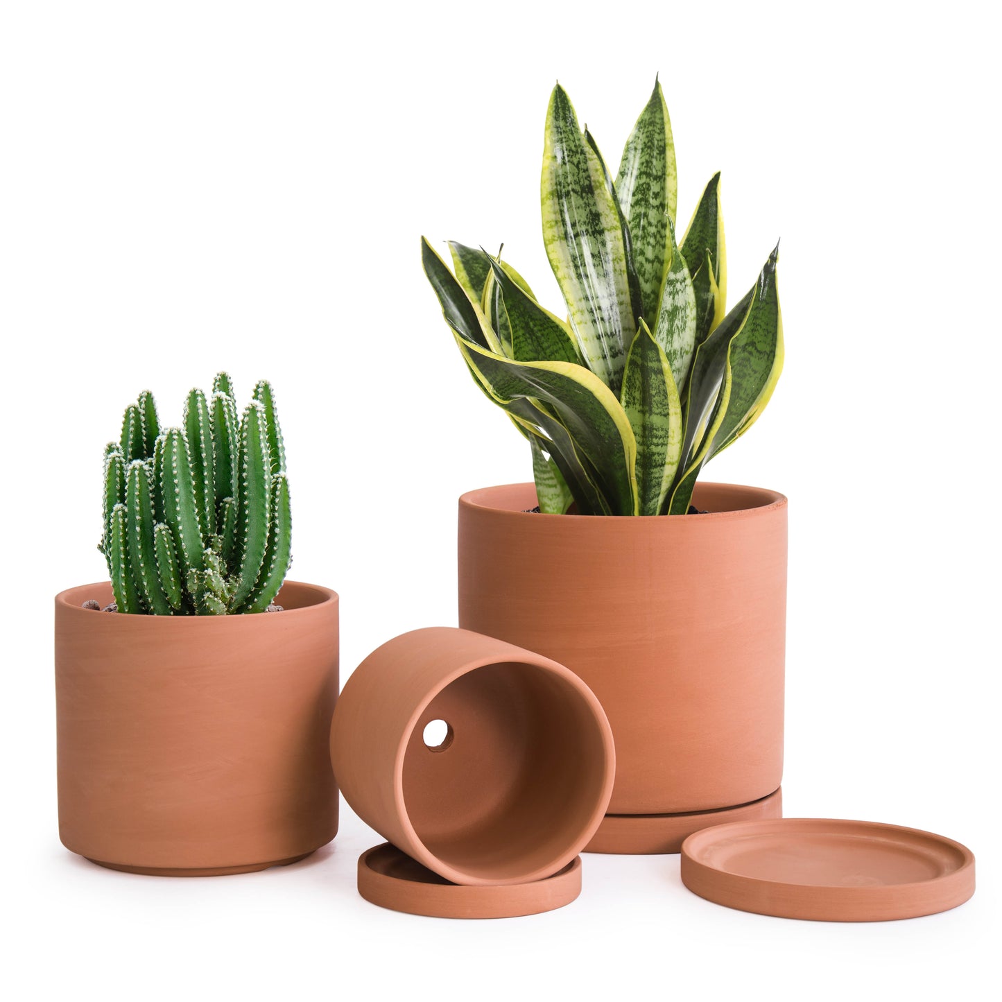 Cylinder Terracotta Pots, Set of 3