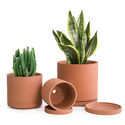 Cylinder Terracotta Pots, Set of 3