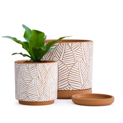 Broadleaf Design Planter Pots with Saucer