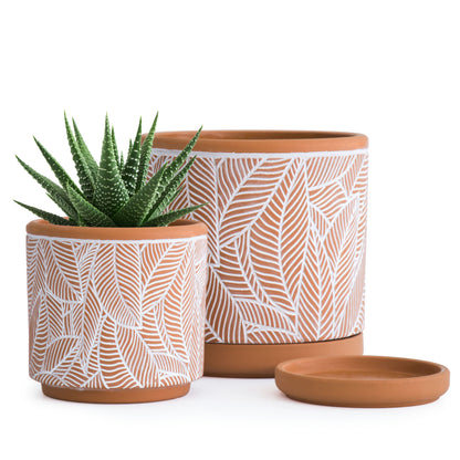 Leaves Pattern Design Planter Pots with Saucer