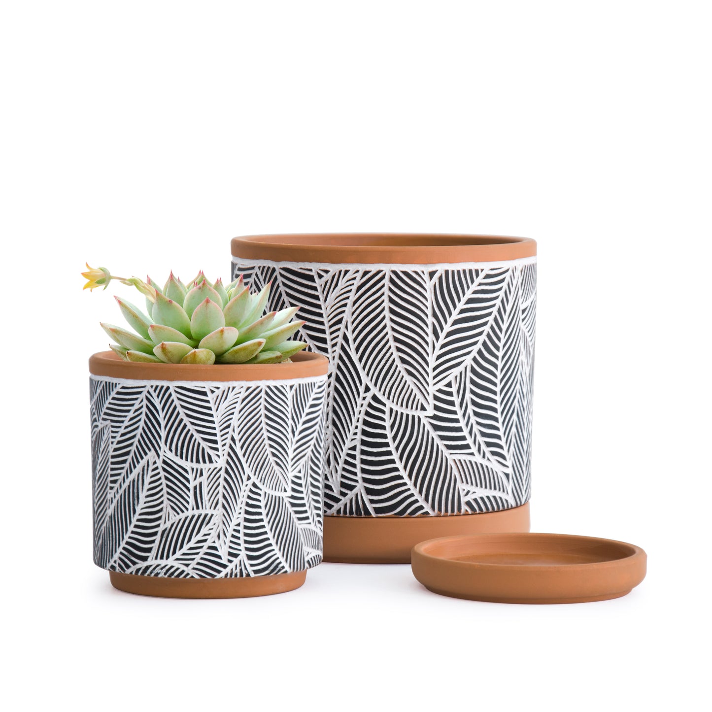 Leaves Pattern Design Planter Pots with Saucer