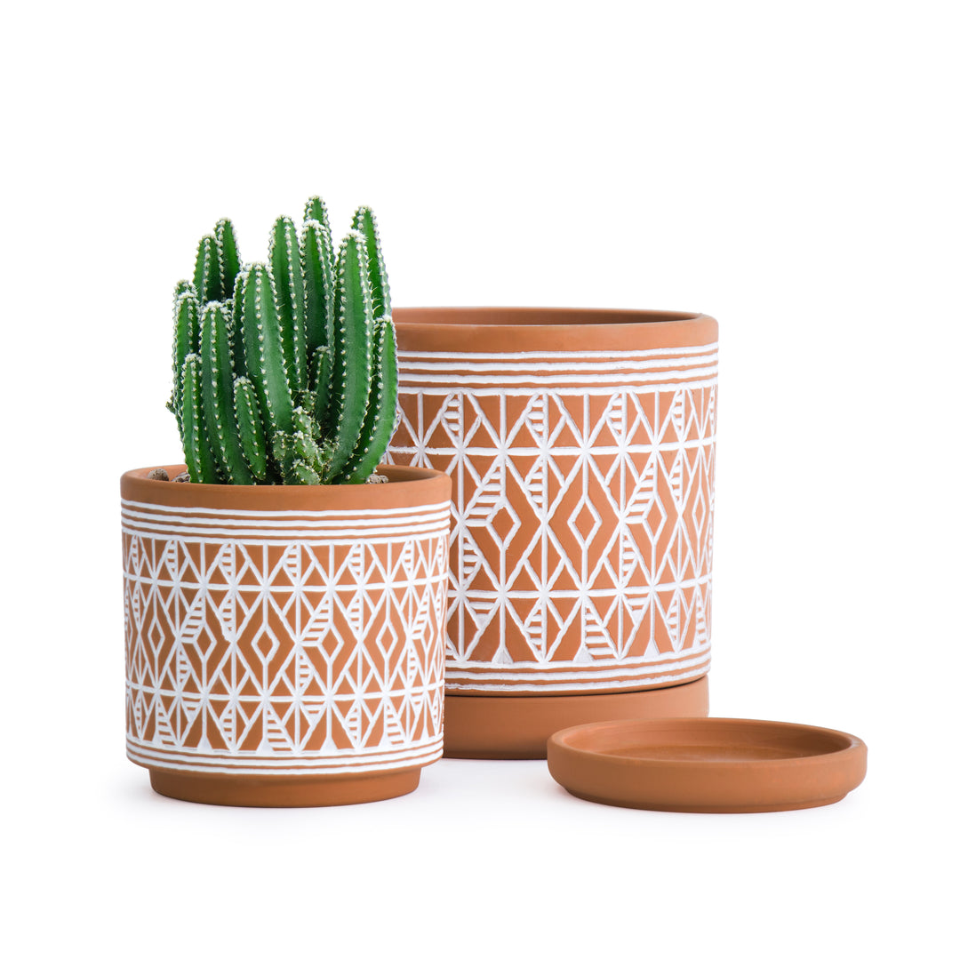 D'vine Dev テラコッタ植物ポットセット、4.2インチ&6.5インチ 素焼き