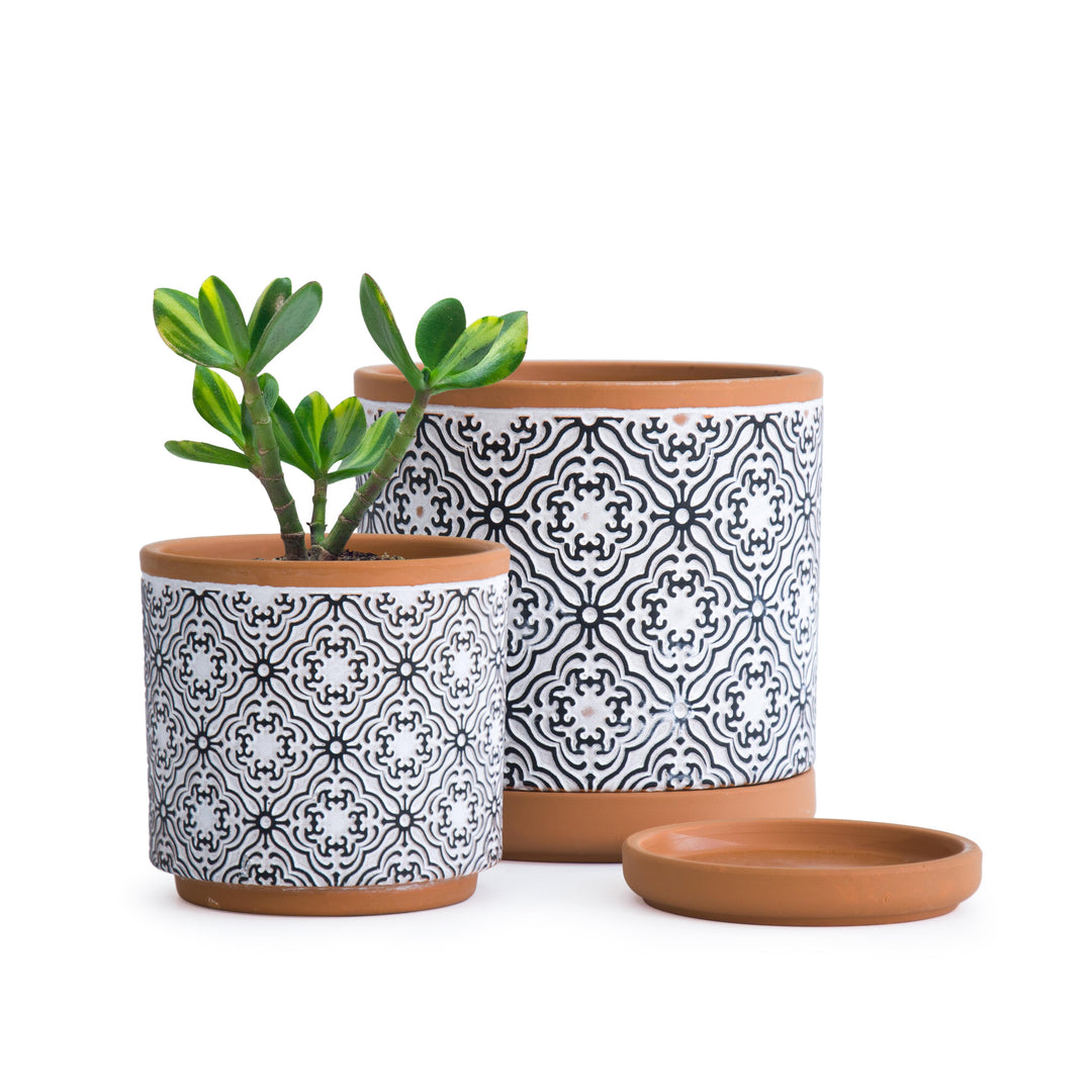 clay plant pots with drainage Design Clay Pot with Saucer, Style E – D'VINE DEV