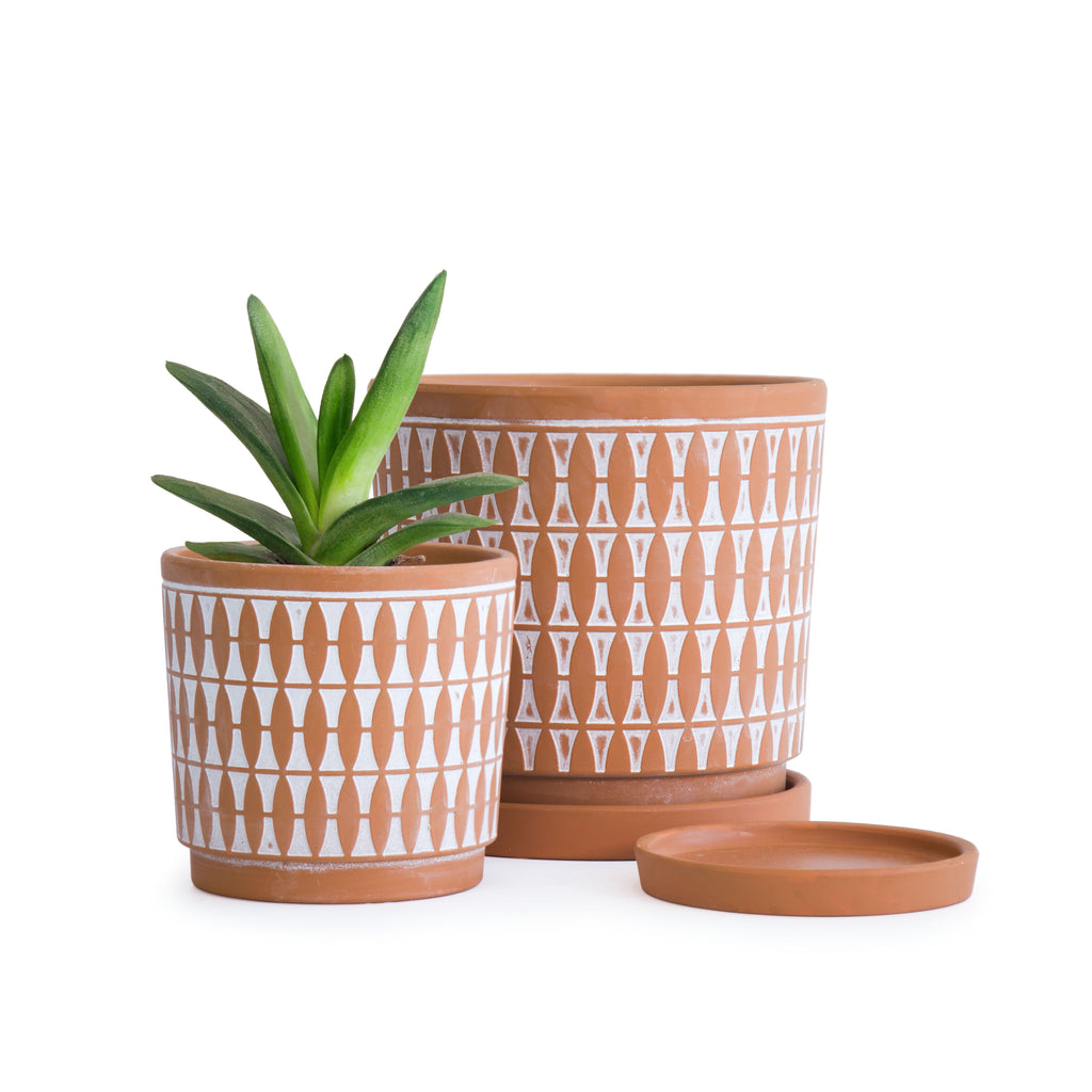 D'vine Dev Z9XD7VK Pack of 4 Terracotta Pots with Saucers, 6