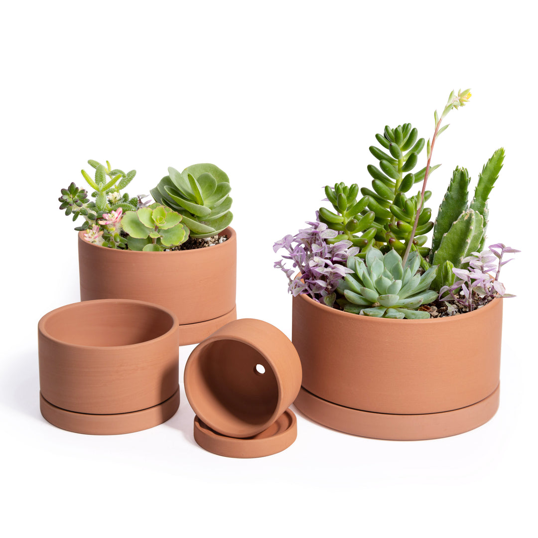 Natural Terracotta Material Shallow Plants Pots