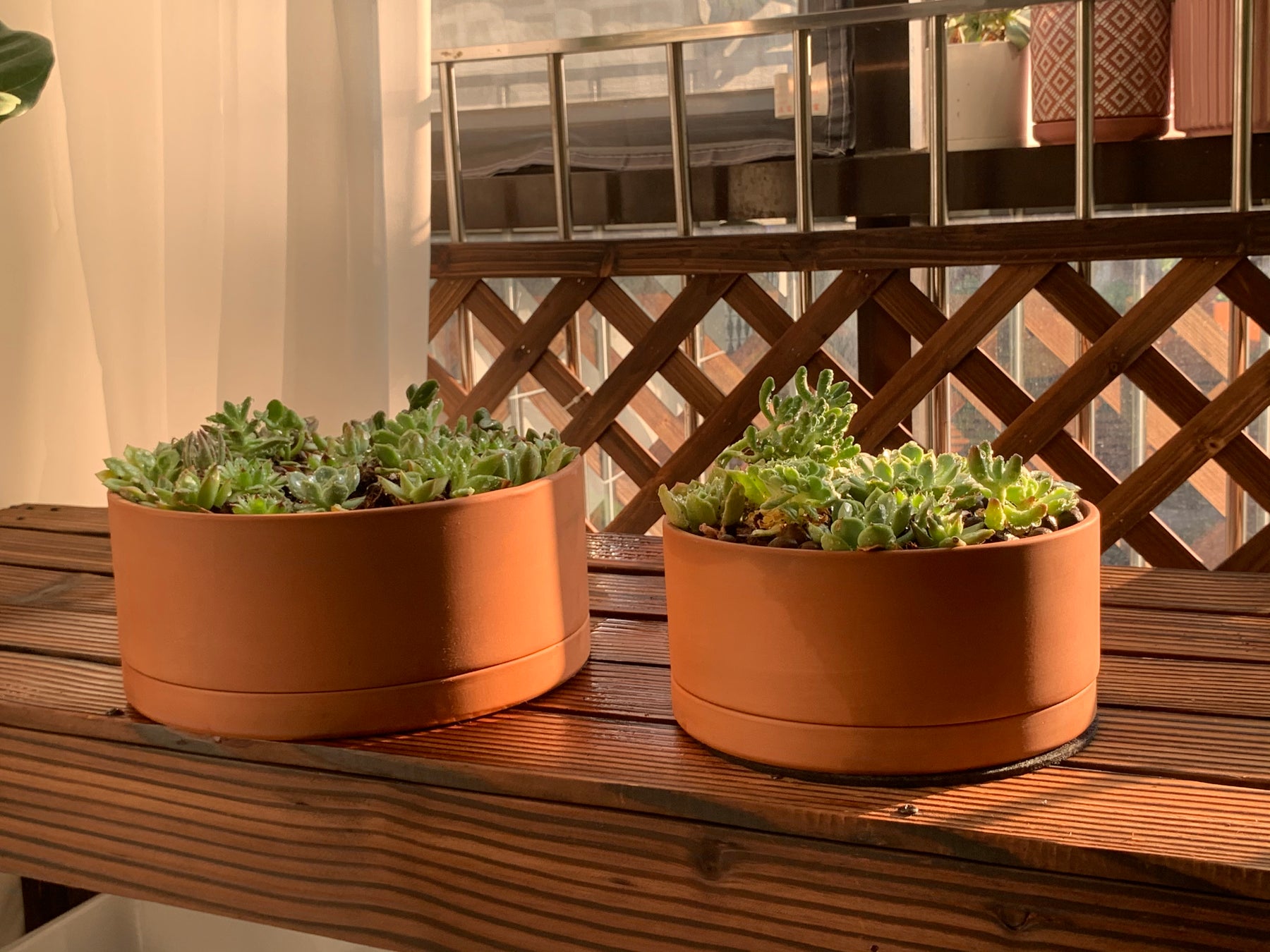 large shallow pots for plants Large Shallow Terracotta Pot – 8", 10", 12" – D'VINE DEV