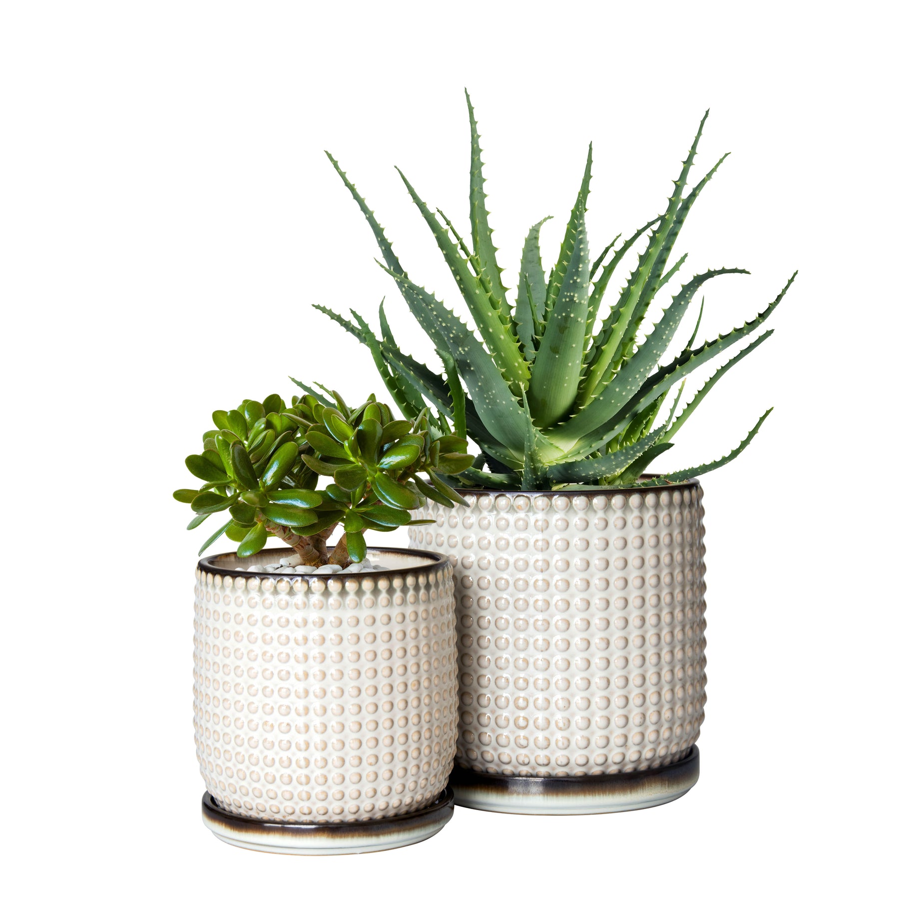 D'vine Dev Set of 2 Stoneware Planter Pots, Ceramic Pot with Drainage Hole  and Saucers, 4.5 Inch 5.8 Inch, Dark Blue Green, 99-D-TB