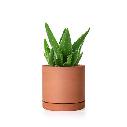 Cylinder Terracotta Plant Pot with Saucer