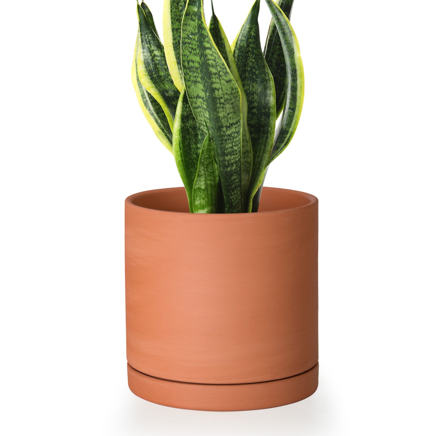 Cylinder Terracotta Plant Pot with Saucer