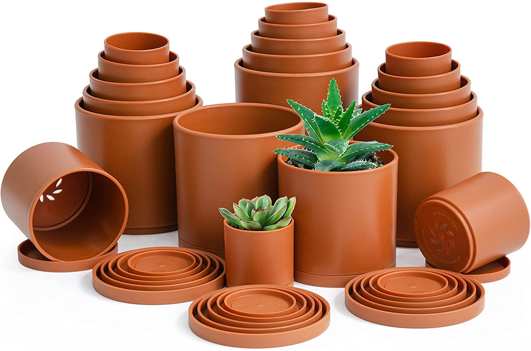 plastic plant pots online D'vine Dev