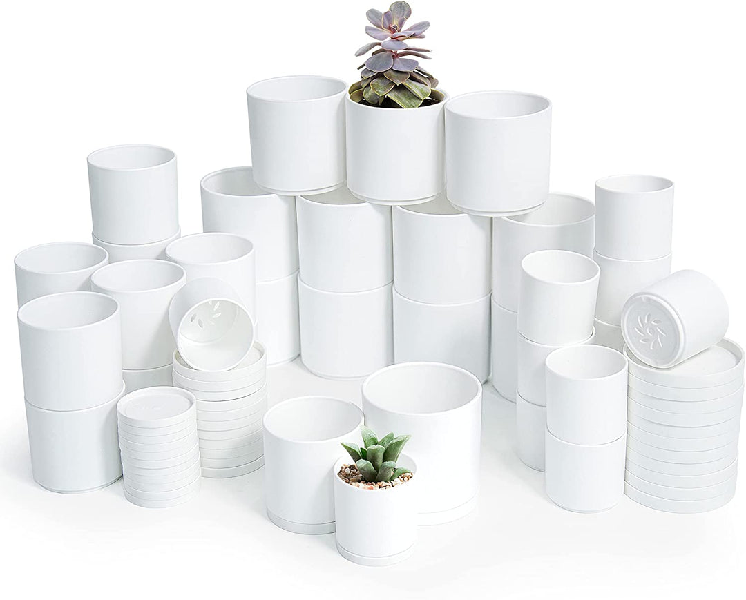 plant pots with holes D'vine Dev