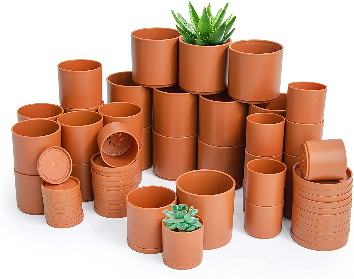 plant pots with holes D'vine Dev