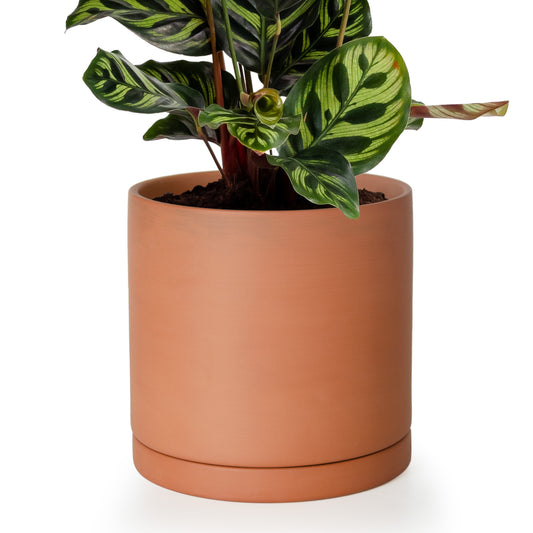 Cylinder Terracotta Plant Pot with Saucer