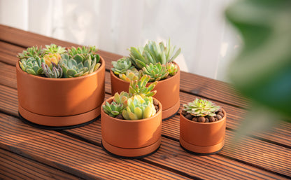 Shallow Terracotta Pots Set of 4