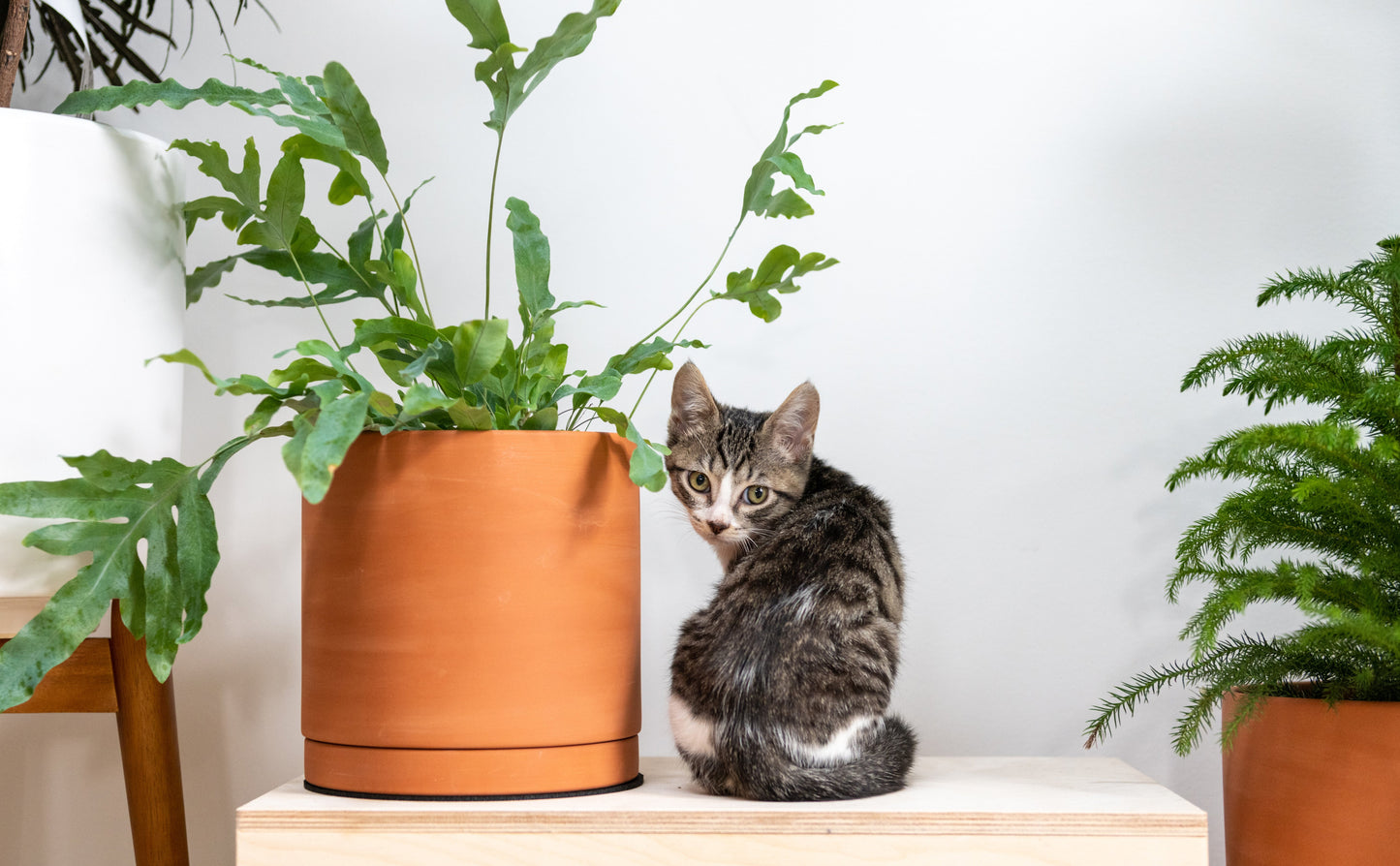 Cylinder Terracotta Plant Pot with Saucer