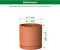 Cylinder Terracotta Plant Pot with Saucer