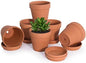 Classic Terracotta Pots with Tray