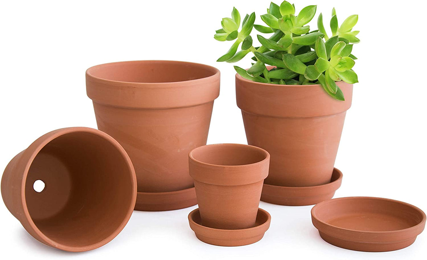 Classic Terracotta Pots with Tray