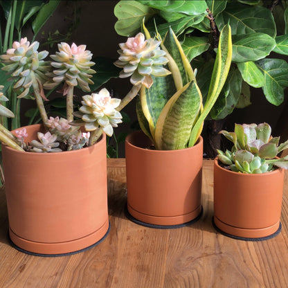 Cylinder Terracotta Pots, Set of 3