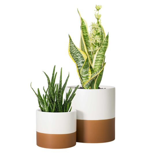 4 Inch & 6 Inch, Ceramic Planter Pots with Drainage Hole